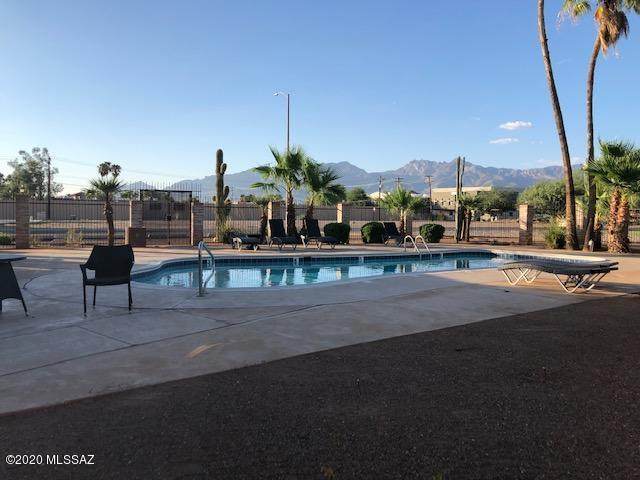 6633 Calle La Paz - Photo 1