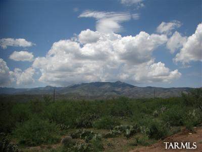 2.5 acres Vanessa Way - Photo 1