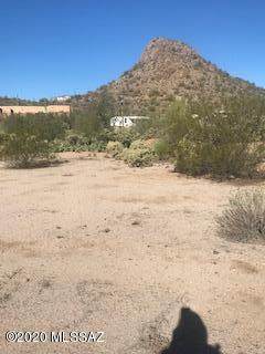 6575 Dimitri Lane - Photo 1