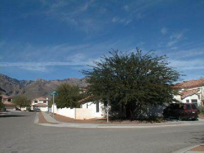7721 Calle Bien Nacida - Photo 1