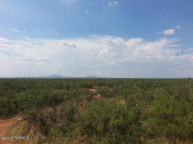 037 Tombstone Valley Ranches - Photo 1