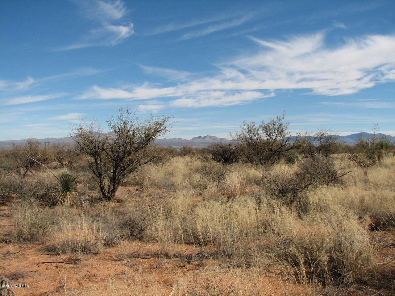 12 Acres Wildcat Place - Photo 1