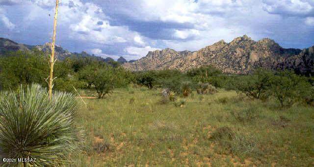 LOT 91 Horned Owl Lane - Photo 1