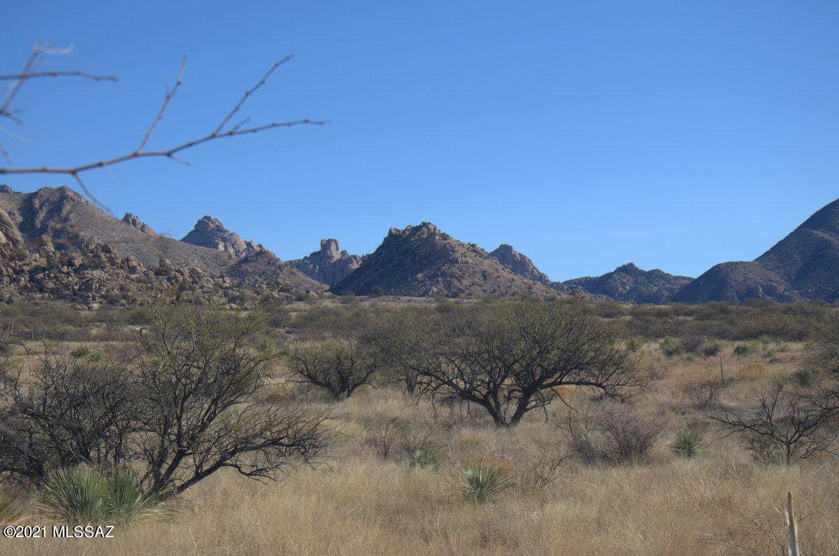Diamondback Road - Photo 1