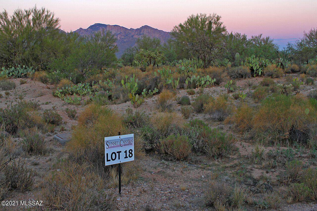 11932 Vista Del Sol - Photo 1
