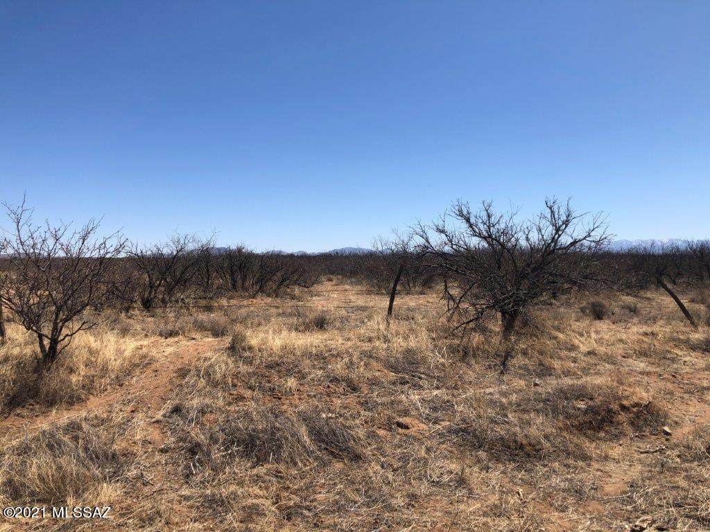 00 Busenbark Road - Photo 1