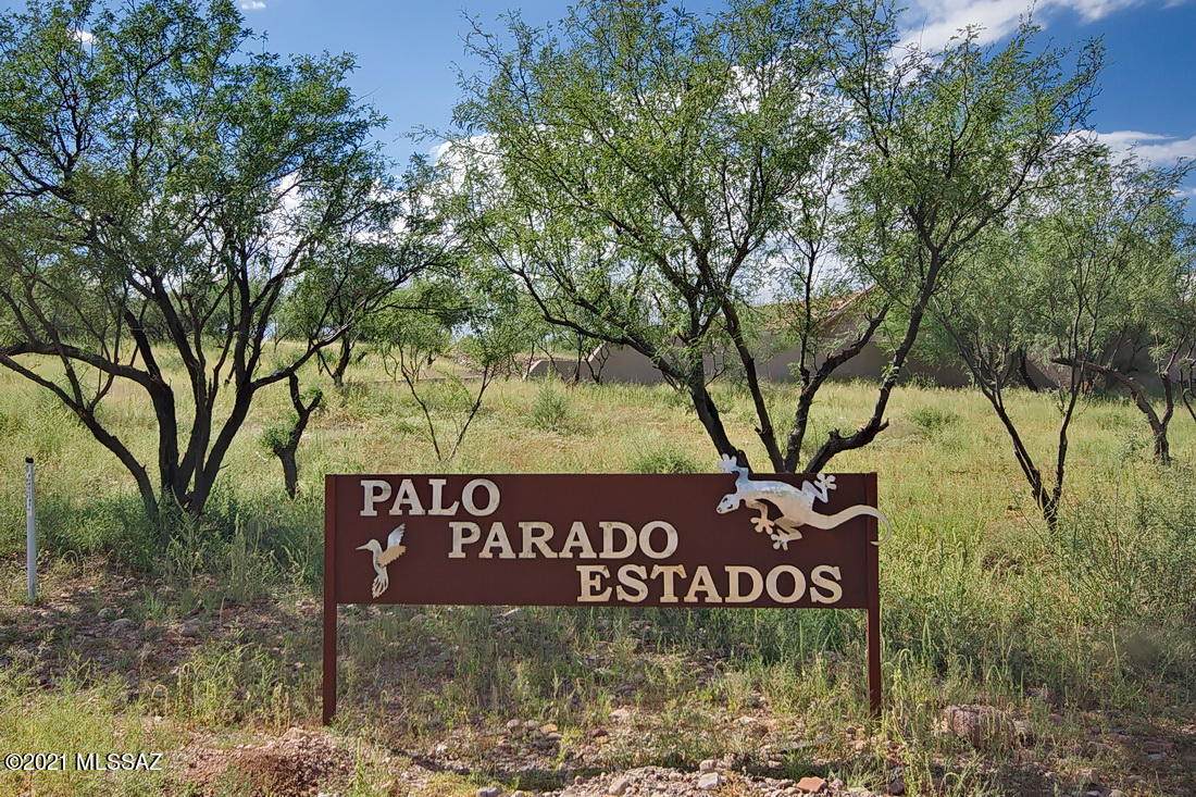 TBD Calle Palo Parado - Photo 1