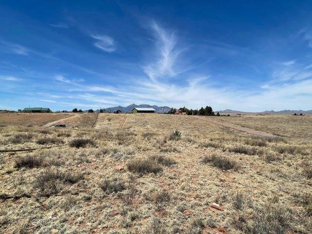 21 Cayuse Trail - Photo 1