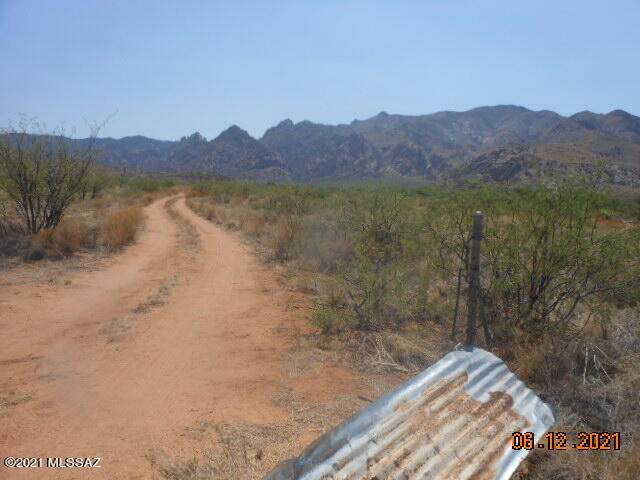 Camino Biblia & W. Ironwwod Road - Photo 1