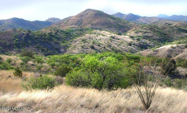 TBD Temporal Canyon Road - Photo 1