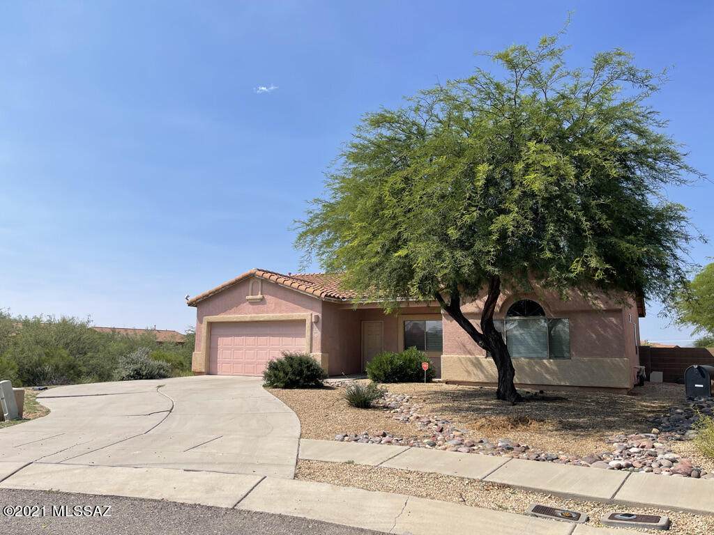 6667 Placita Segovia - Photo 1