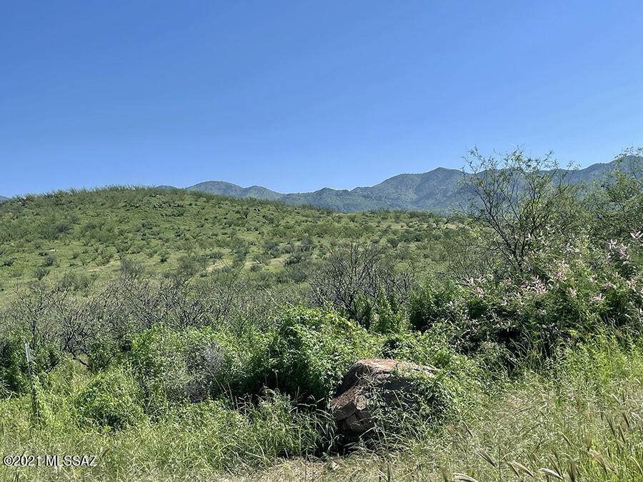 TBD Tejano Springs Rd - Photo 1
