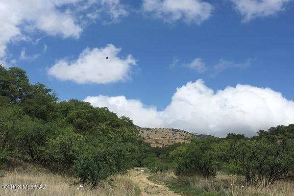 TBD Greaterville Road - Photo 1