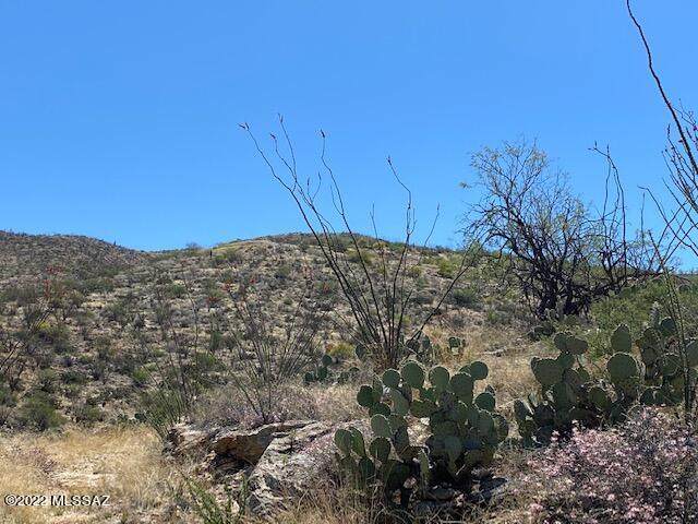 18280 Gila Monster Way - Photo 1