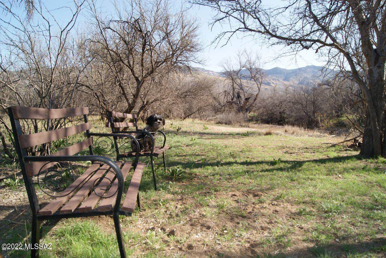 6411 X9 Ranch Road - Photo 1