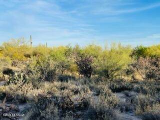 12511 Oldfather Road - Photo 1