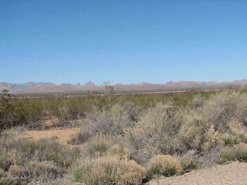 160 Acres O'neal Road - Photo 1