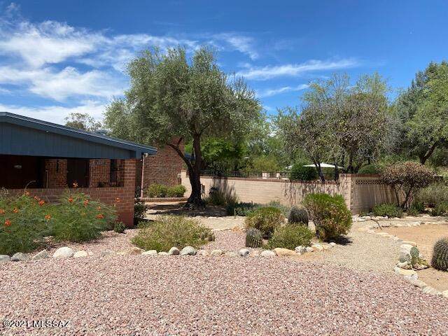 750 Ko Vaya Drive - Photo 1