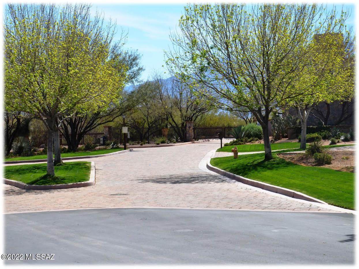 232 Palomino Run Place - Photo 1
