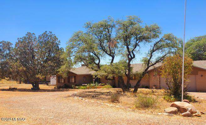 44 Collie Drive - Photo 1