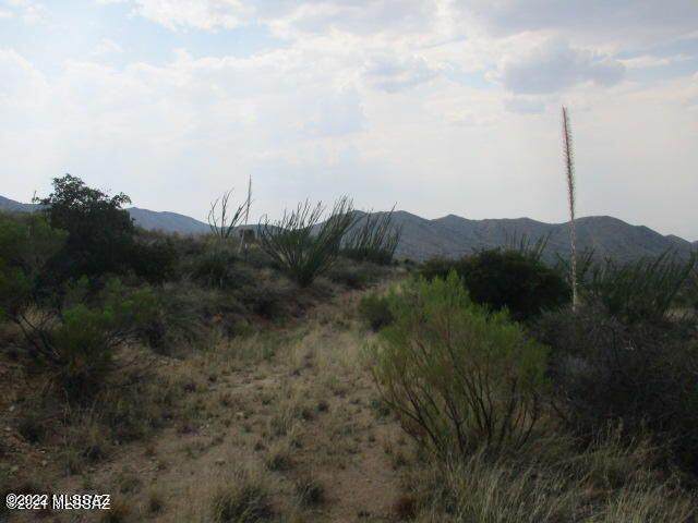 18655 Sierrita Mountain Road - Photo 1
