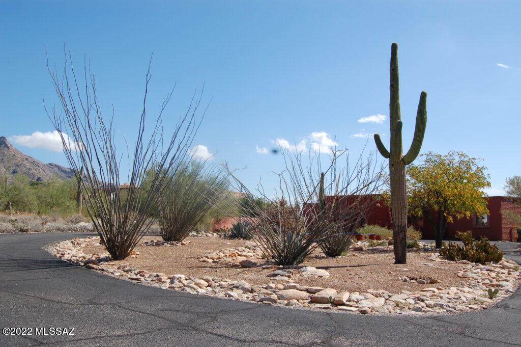 6850 Table Mountain Road - Photo 1