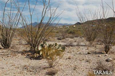 14674 Colossal Cave Road - Photo 1