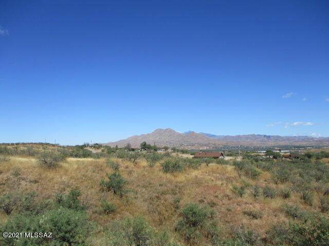 392 Paseo Ardilla - Photo 1
