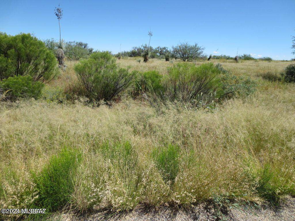 3063 Conaway Circle - Photo 1