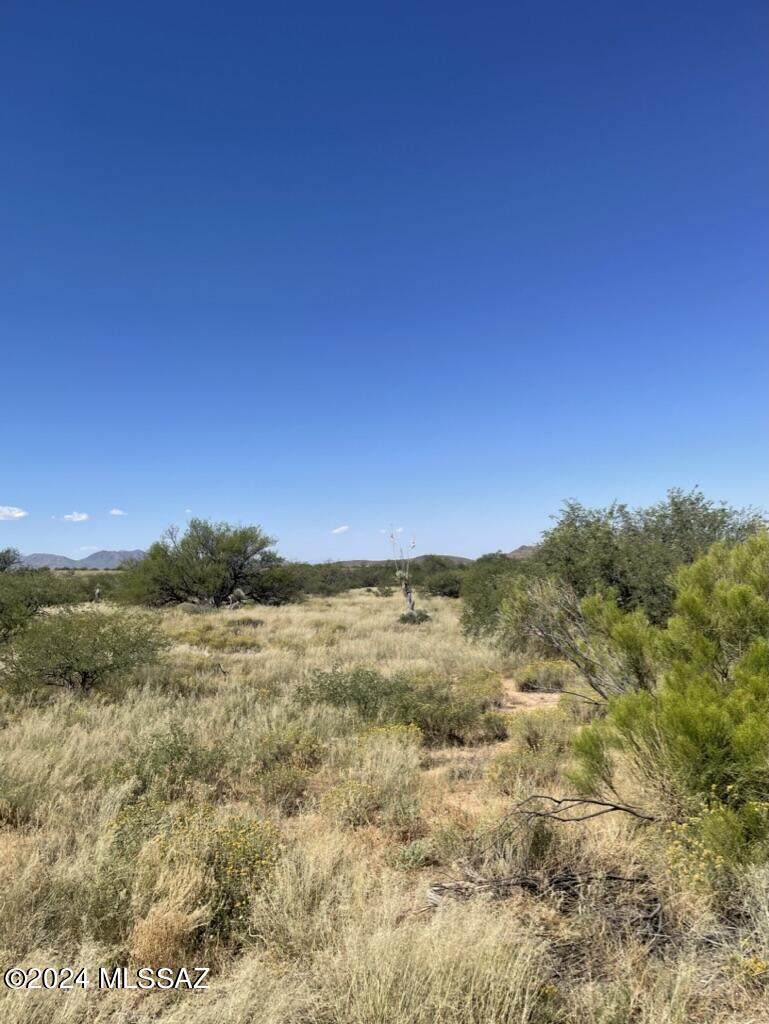 https://bt-photos.global.ssl.fastly.net/tucson/1280_boomver_1_22424326-2.jpg