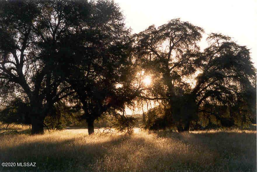 TBD San Rafael Valley Road - Photo 1
