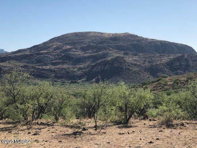 000 Ghost Town Trail - Photo 1