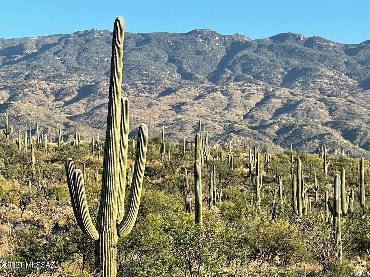 3051 Placita De Nazca - Photo 1