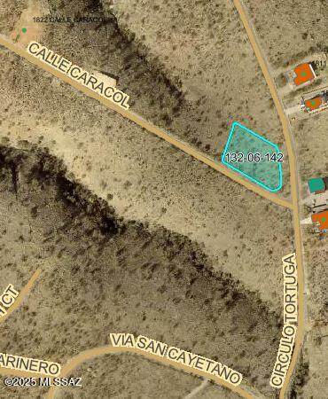 1810 Calle Caracol - Photo 1