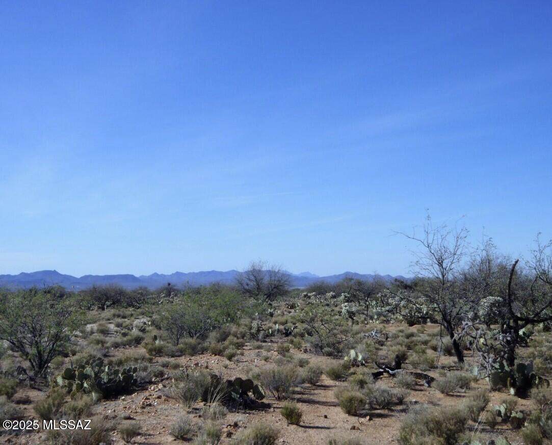 14987 Carlsburg Avenue - Photo 1