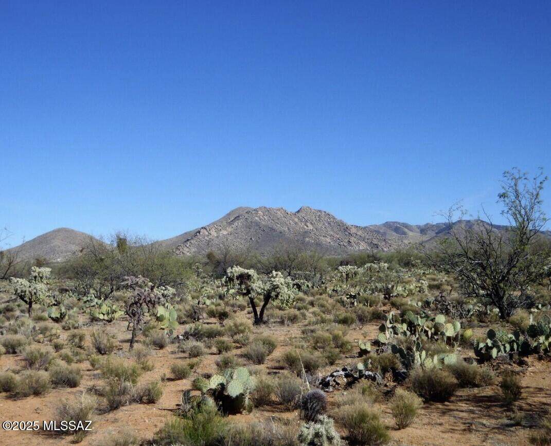 15007 Carlburg Av Avenue - Photo 1