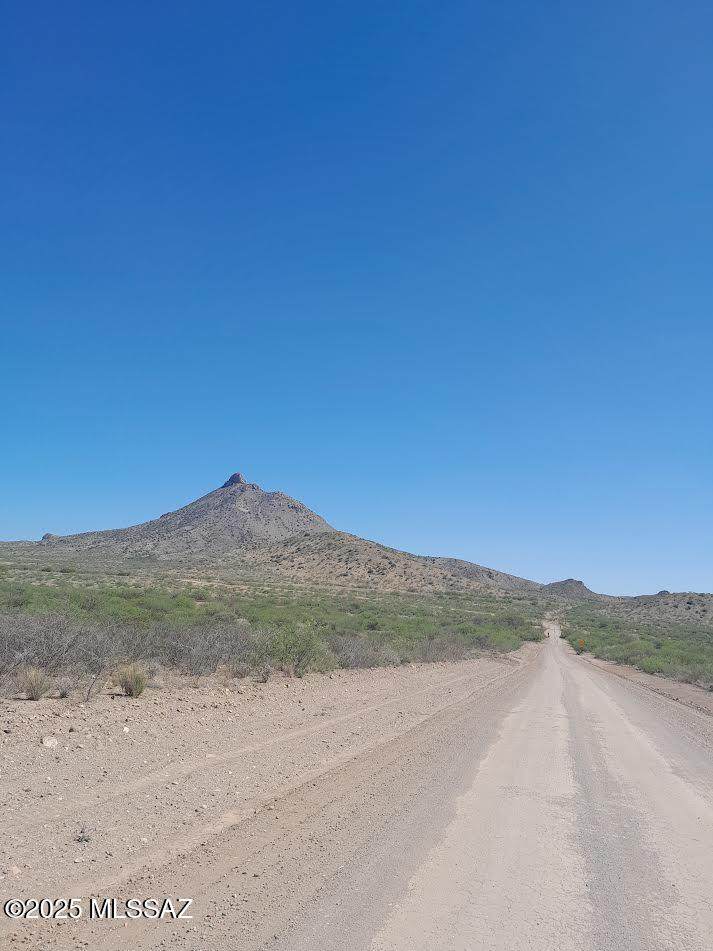 000 Mulberry Drive - Photo 1