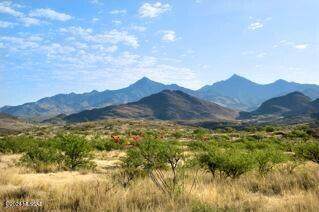 https://bt-photos.global.ssl.fastly.net/tucson/1280_boomver_1_22515645-2.jpg