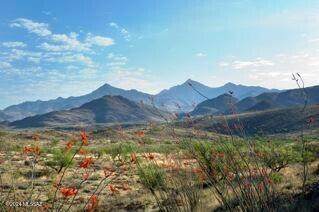 https://bt-photos.global.ssl.fastly.net/tucson/1280_boomver_1_22515645-2.jpg