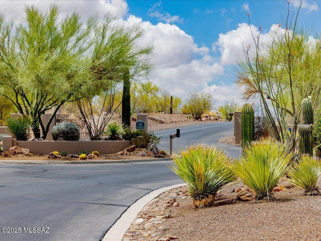 4250 Saguaro Monument Place - Photo 1