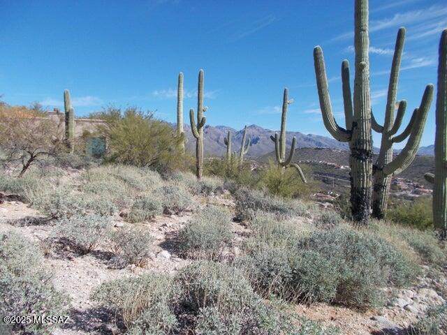 4130 Painted Quail Place - Photo 1