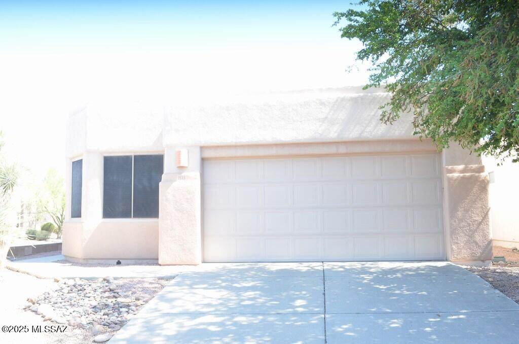 7333 Placita Luz De La Luna - Photo 1