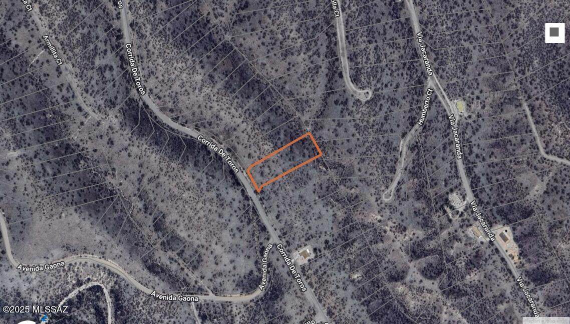 1126 Corrida De Toros - Photo 1