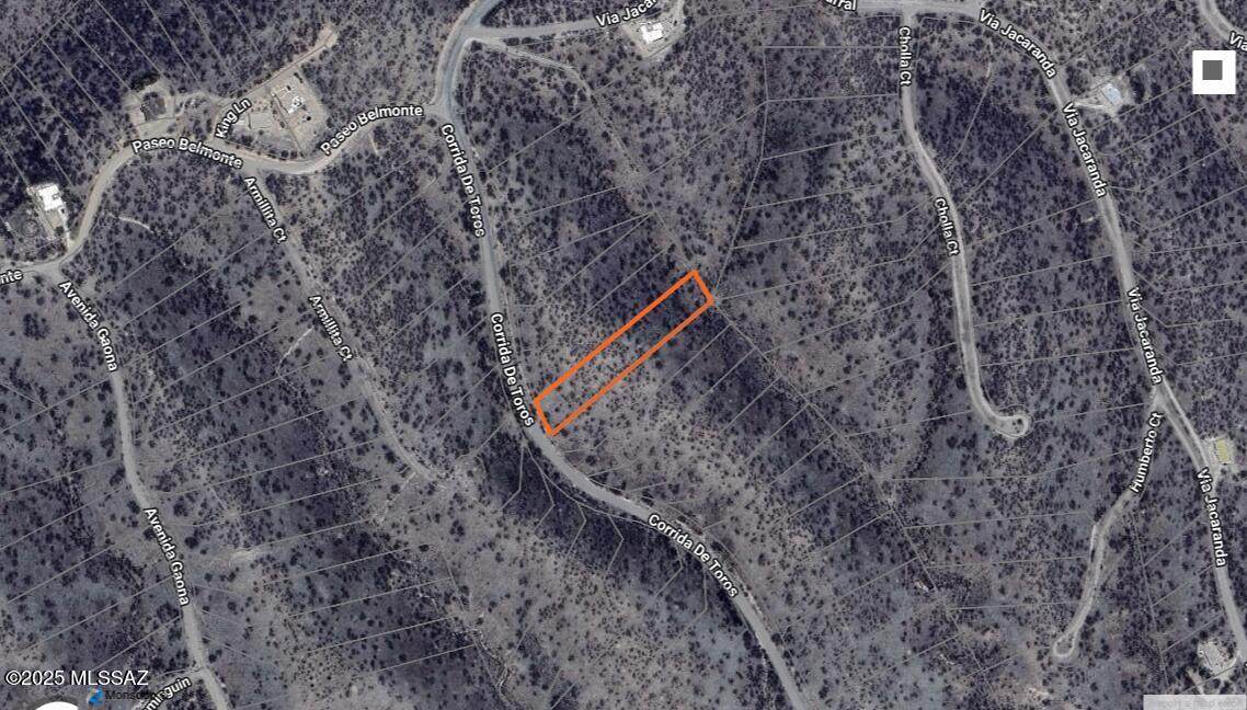 1142 Corrida De Toros - Photo 1