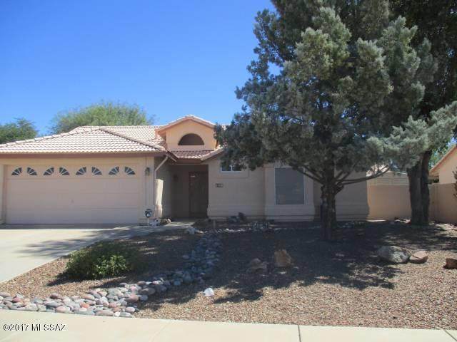 8041 High Canyon Drive - Photo 1
