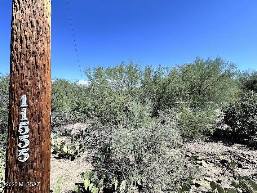 11555 Speedway Boulevard - Photo 1