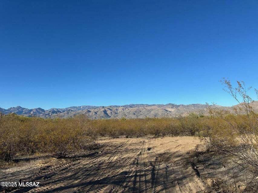 12151 5th Street - Photo 1