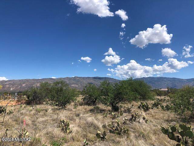 TBD Camino Loma Alta - Photo 1