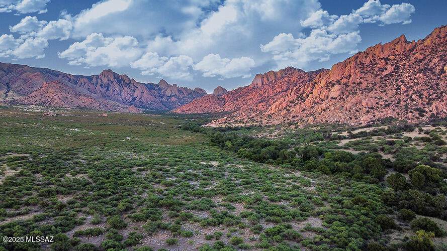 F196 Horse Ranch Road - Photo 1