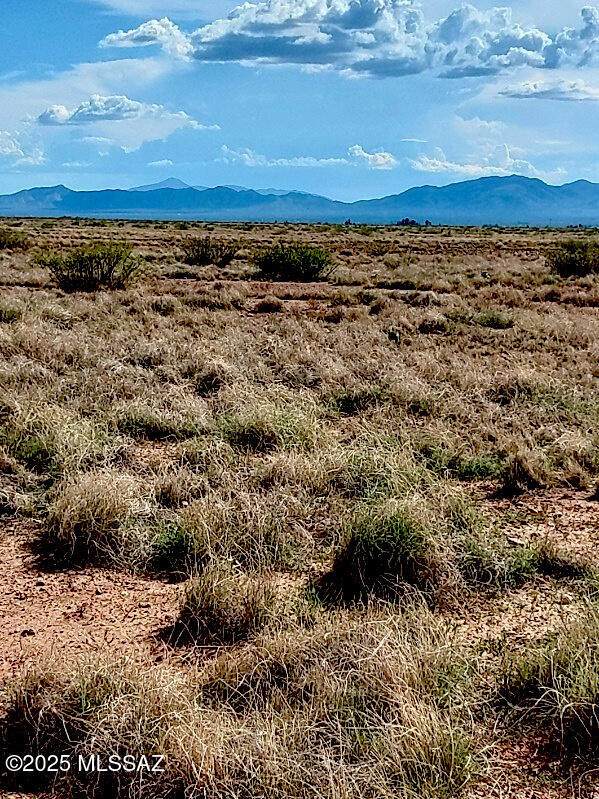 TBD Ee Ranch Lot 2 Of 2 Road - Photo 1